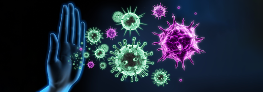 The Immune System Demystified: A Beginner's Guide
