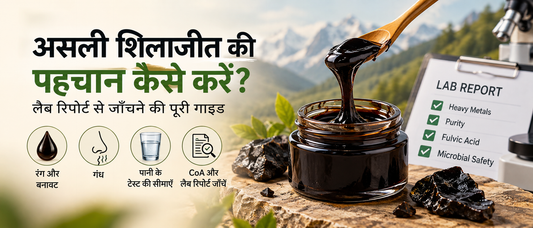 असली शिलाजीत की पहचान के लिए रेज़िन, लैब रिपोर्ट और भारी धातुओं की जाँच दर्शाता बैनर