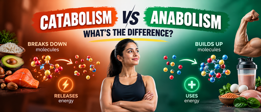 Catabolism vs anabolism showing molecule breakdown and buildup of energy and nutrients