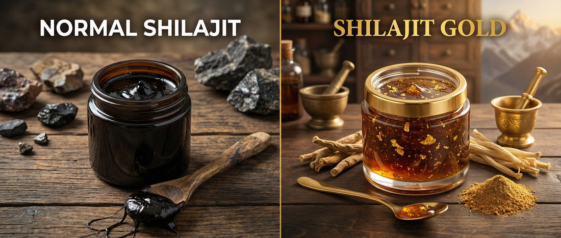 Side-by-side comparison showing the difference between dark raw normal Shilajit resin and premium Shilajit Gold infused with Swarna Bhasma and Ashwagandha.