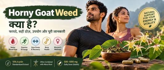Horny Goat Weed in Hindi – फायदे, सही डोज़ और उपयोग की जानकारी, जिसमें Epimedium की पत्तियाँ, कैप्सूल, Icariin extract, stamina, blood flow और bone health से जुड़े विज़ुअल शामिल हैं।