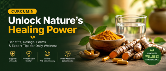 Liposomal curcumin vs turmeric capsules with turmeric root and capsules for absorption comparison