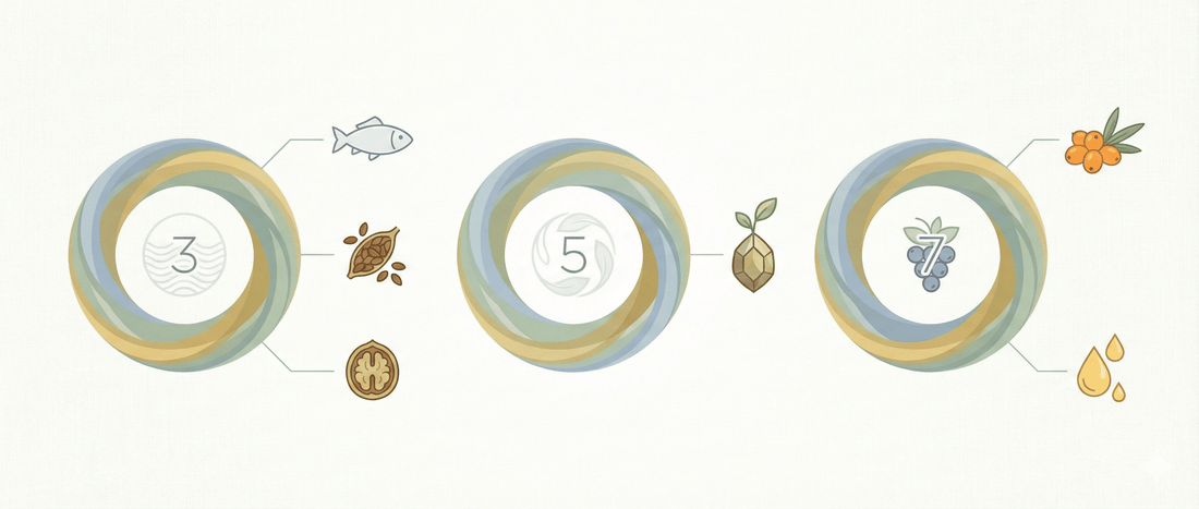 Illustration showing omega 3, omega 5, and omega 7 fatty acid categories with different food sources