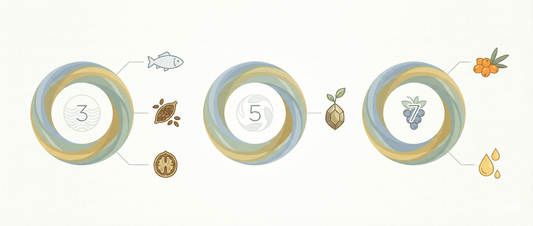 Illustration showing omega 3, omega 5, and omega 7 fatty acid categories with different food sources