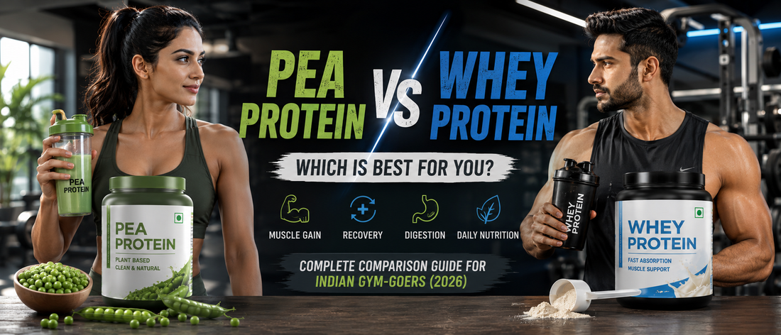 Indian gym-goer comparing pea protein vs whey protein for muscle gain and recovery