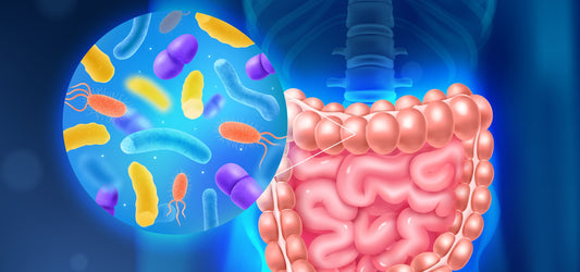 A Happy Gut, A Healthier You: The Science Behind Probiotics