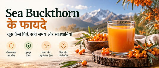 सी बकथॉर्न के फायदे – नारंगी जूस, सी बकथॉर्न बेरी और जूस पीने का सही समय व सावधानियां
