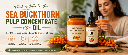 Sea buckthorn pulp concentrate vs oil comparison with healthy Indian adults making a supplement choice