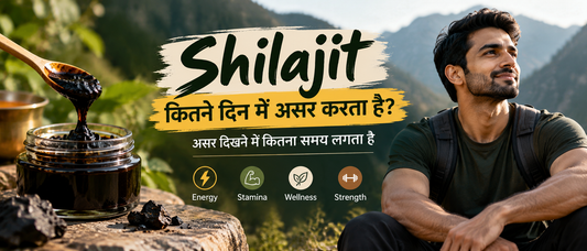 Shilajit कितने दिन में असर करता है? Shilajit resin और wellness से जुड़ी header image