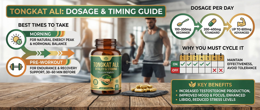 Infographic guide explaining how and when to take Tongkat Ali, detailing daily dosage ranges from 100mg to 600mg, optimal morning and pre-workout timing, and a standard cycling protocol for testosterone and stamina support.