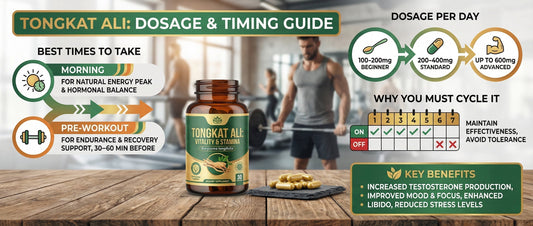 Infographic guide explaining how and when to take Tongkat Ali, detailing daily dosage ranges from 100mg to 600mg, optimal morning and pre-workout timing, and a standard cycling protocol for testosterone and stamina support.