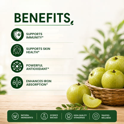 Vitamin C with Amla Extract + Zinc Supplement | Boost Immunity | Support In Skin & bone Health - 60 Veg Tablets