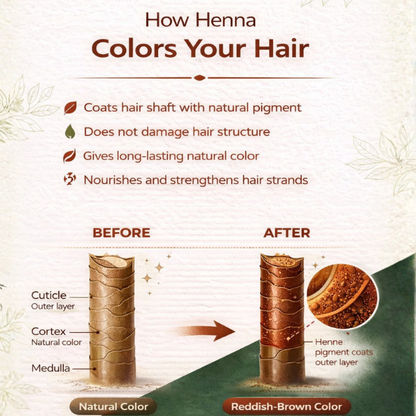 Pure Nutrition Henna Powder for Natural Hair Coloring | Herbal Hair Care