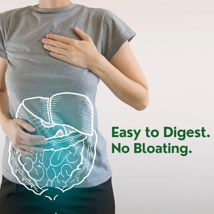 Pure Nutrition Pea Protein 