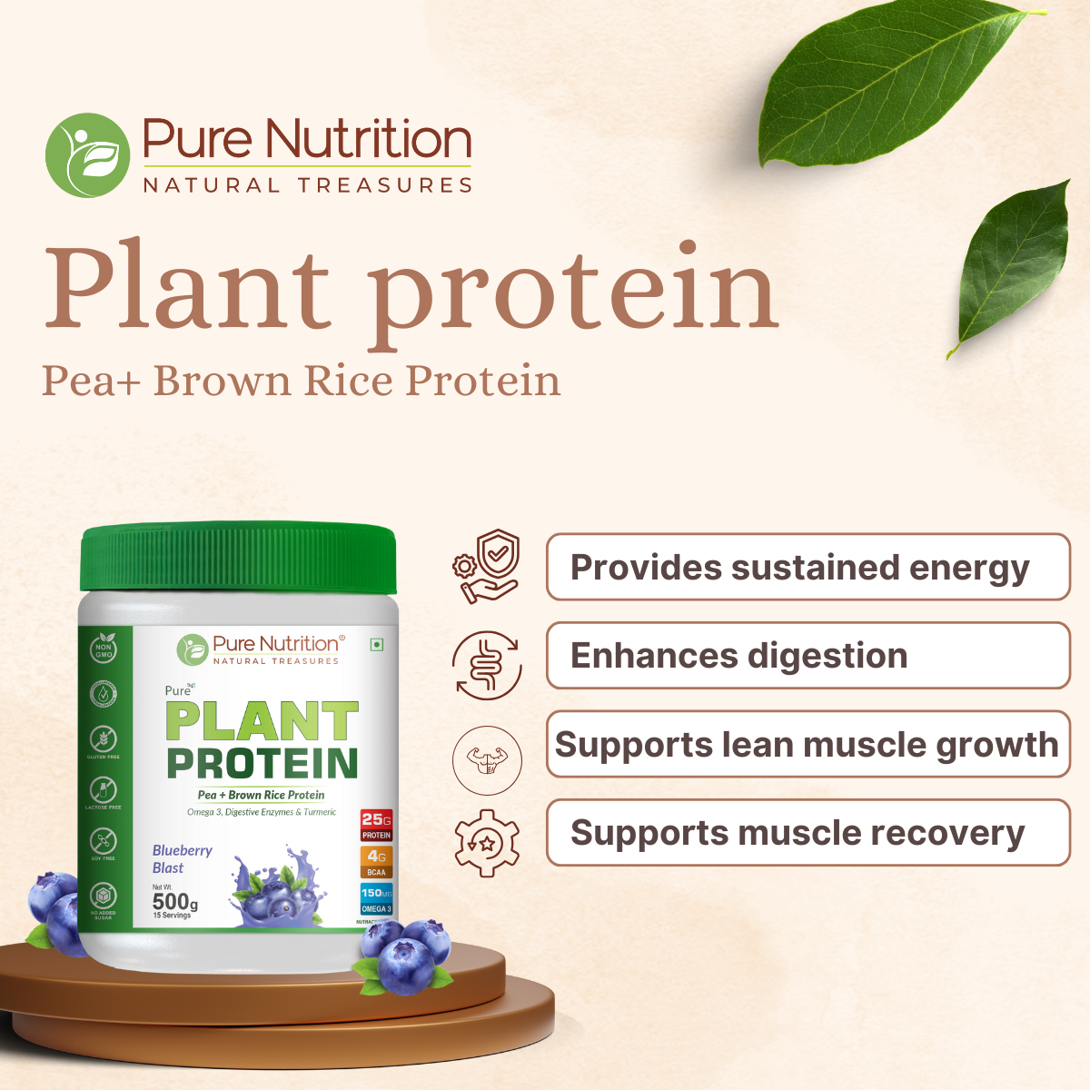 Vegan Protein Blueberry Blast – Plant-Based Protein (500g)