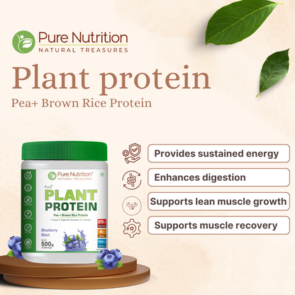 Vegan Protein Blueberry Blast – Plant-Based Protein (500g)