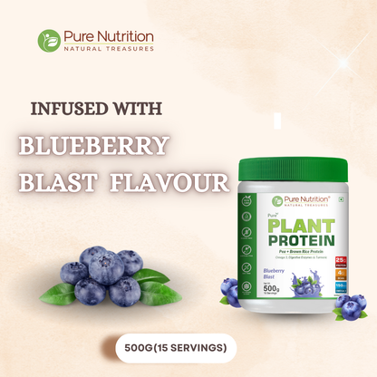 Vegan Protein Blueberry Blast – Plant-Based Protein (500g)