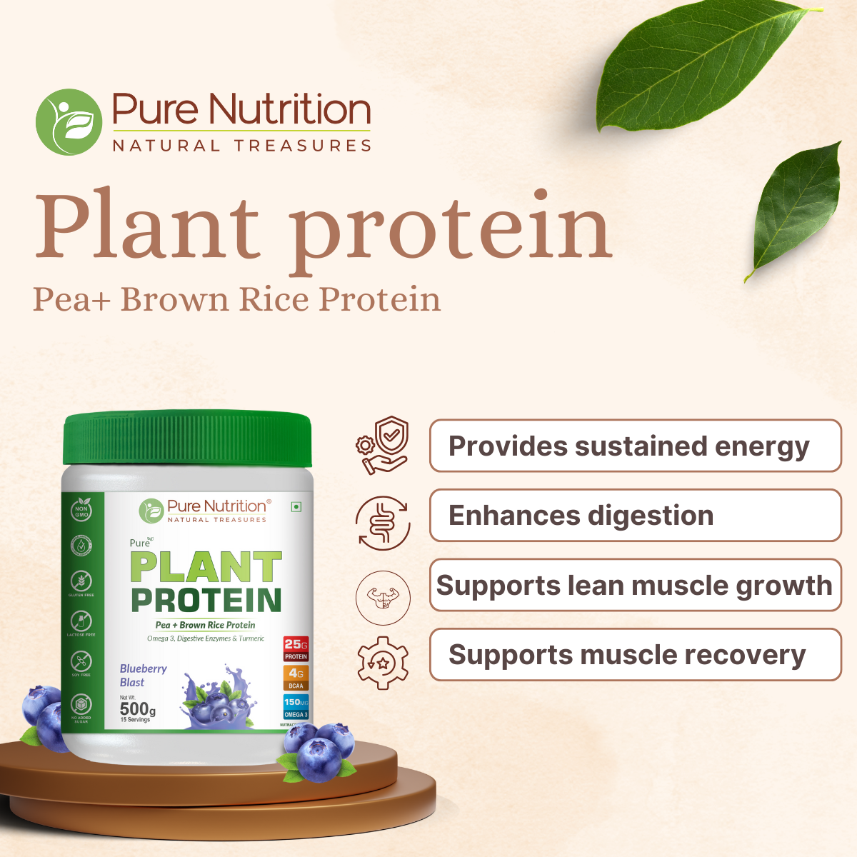 Pure Nutrition Vegan Protein Blueberry Blast