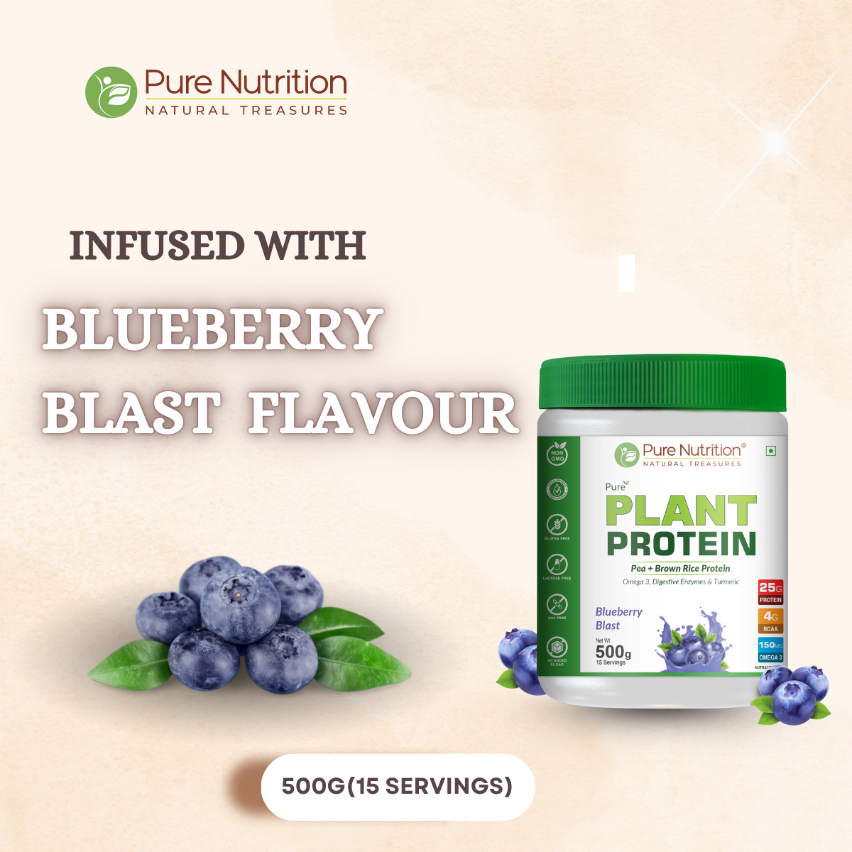 Pure Nutrition Vegan Protein Blueberry Blast
