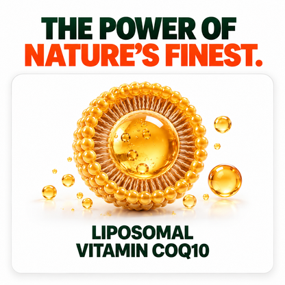 LipoMax Liposomal Coenzyme Q10 300mg 30 Veg Capsules | Antioxidant & Energy Support