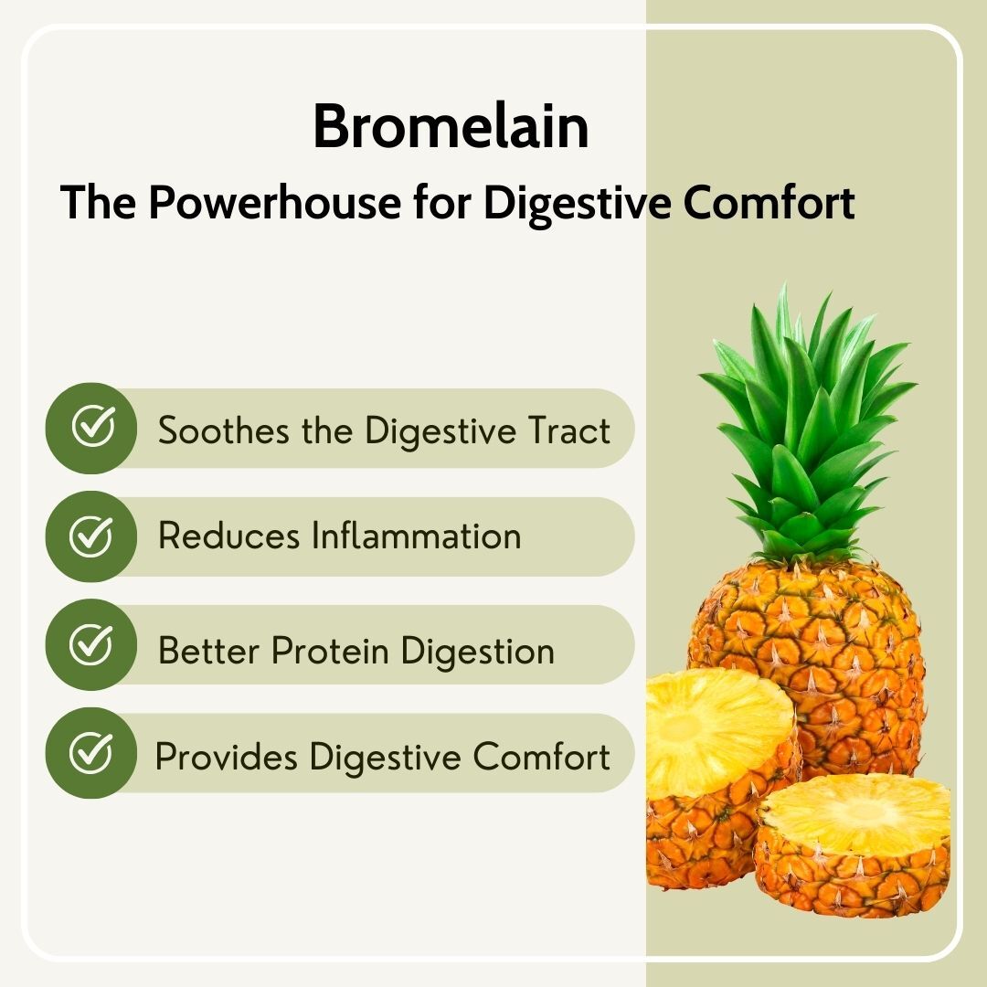 Digestive Enzymes with Bromelain for Gut Health & Metabolism - 60 Veg Capsules