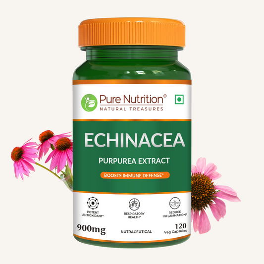 Pure Nutrition Echinacea Capsules -120 Capsules | Antioxidant, Immune Booster, and Anti-Inflammatory Support