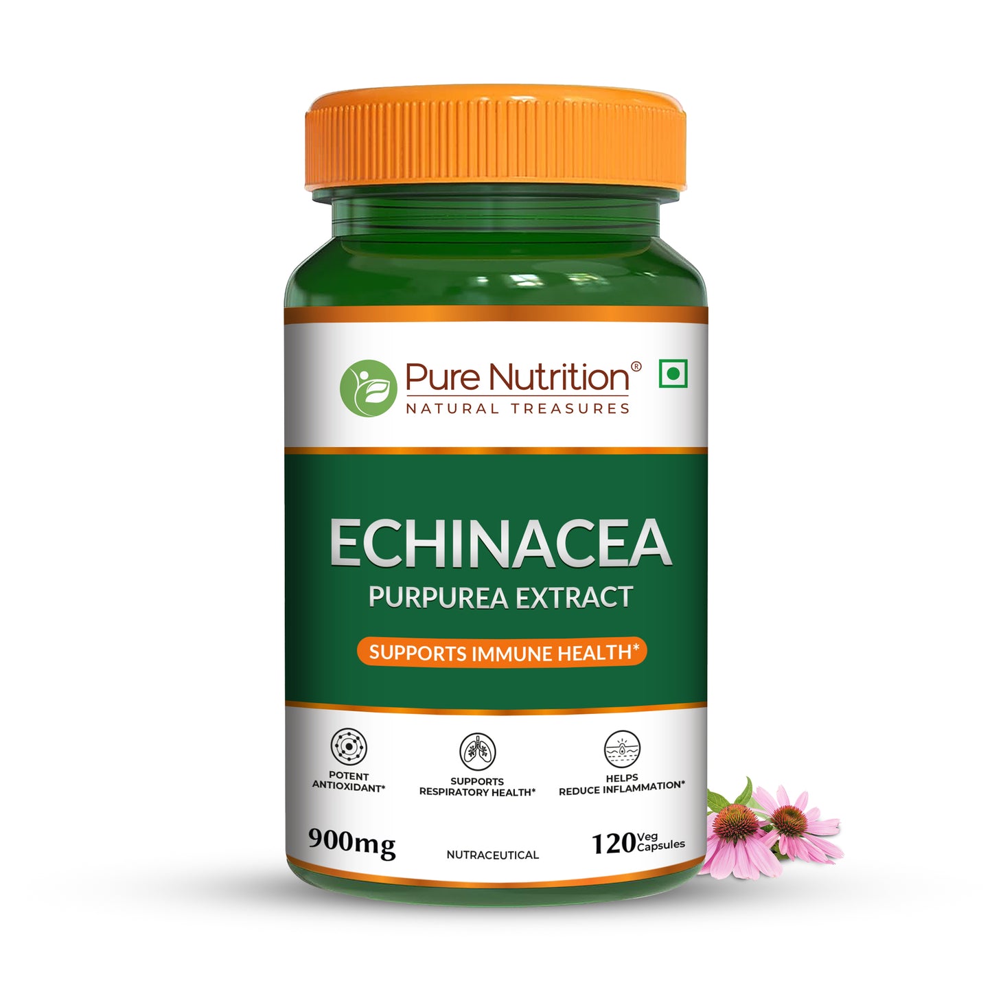Pure Nutrition Echinacea Capsules -120 Capsules | Antioxidant, Immune Booster, and Anti-Inflammatory Support