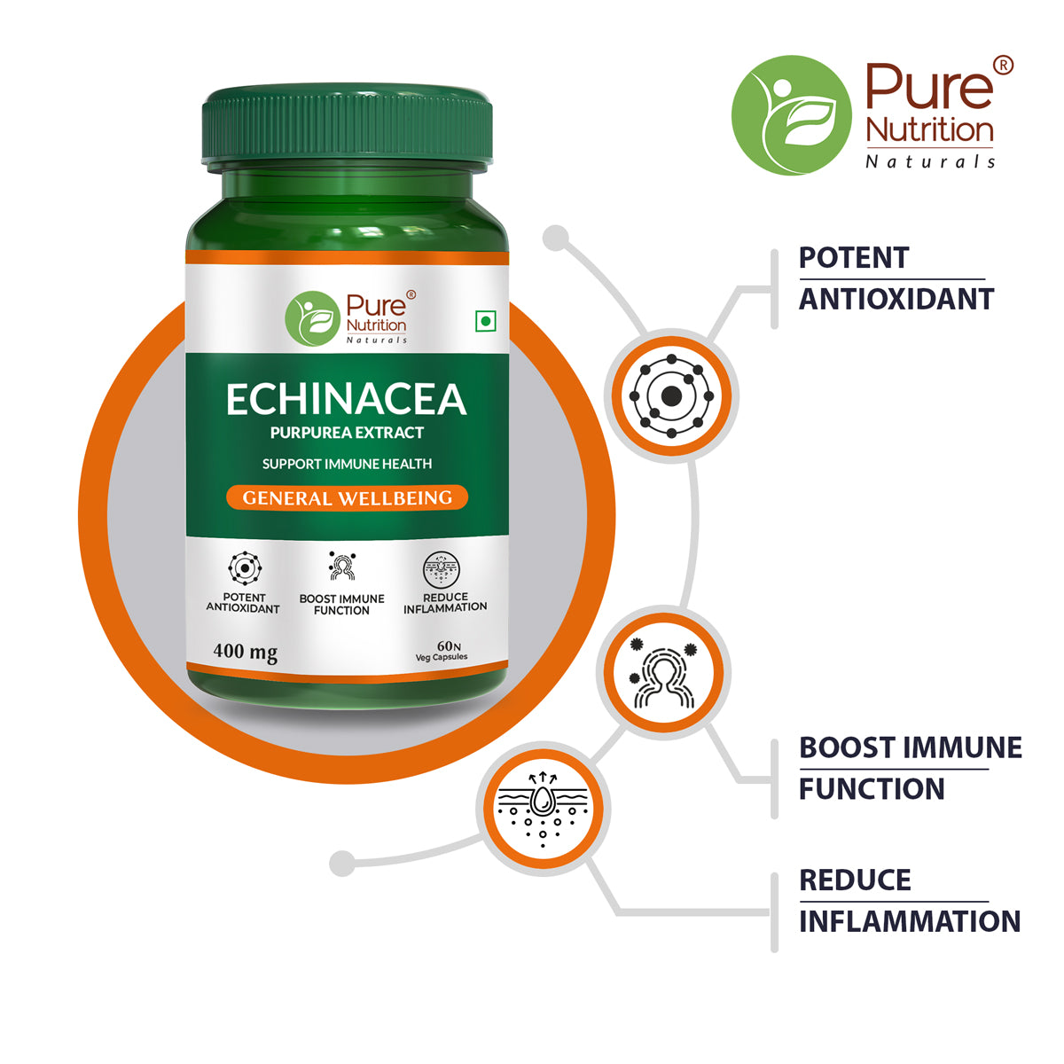 Pure Nutrition Echinacea Capsules - 60 Caps | Antioxidant, Immune Booster, Anti-Inflammatory