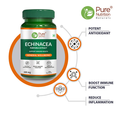 Pure Nutrition Echinacea Capsules - 60 Caps | Antioxidant, Immune Booster, Anti-Inflammatory