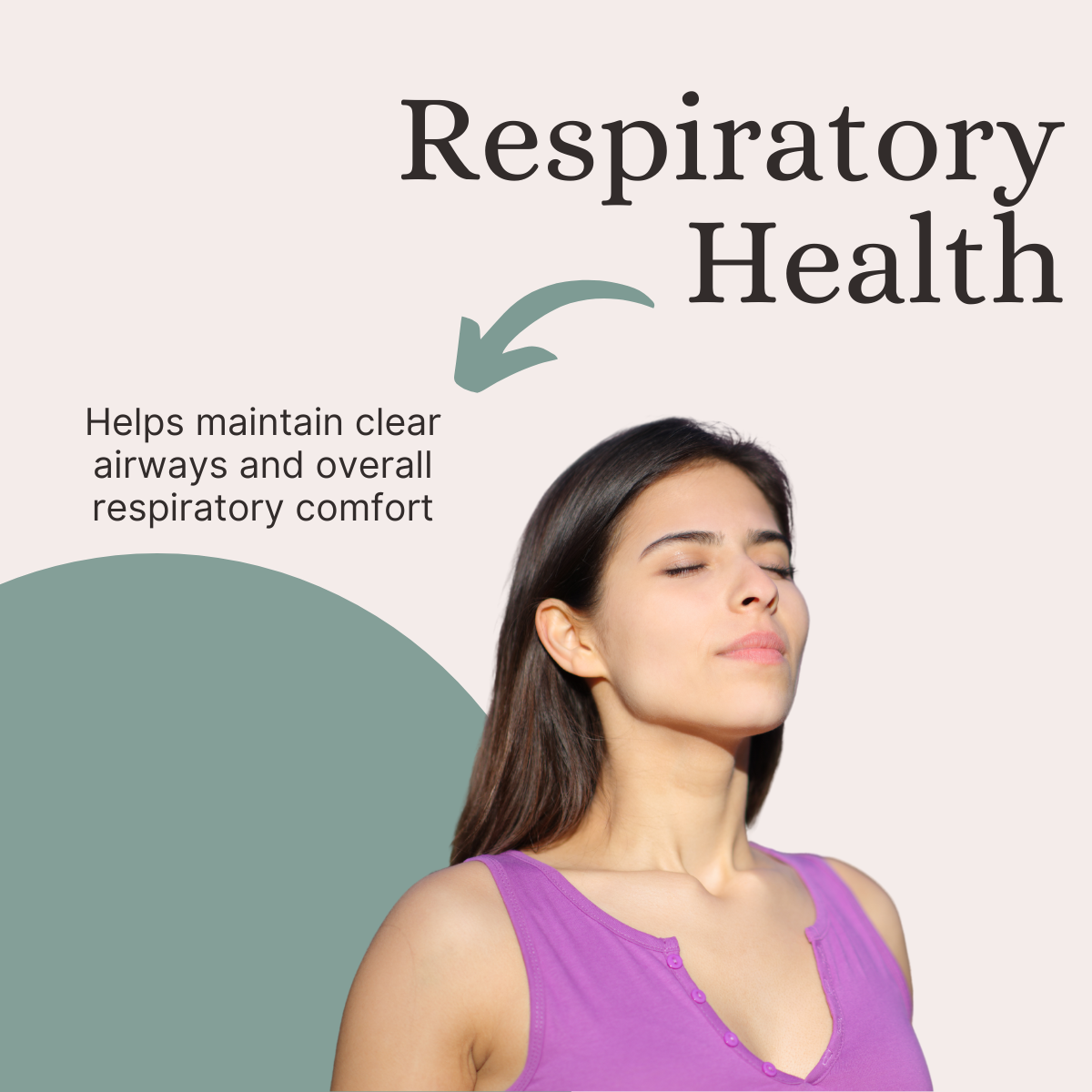 Pure Nutrition Echinacea Capsules - 60 Capsules | Antioxidant, Immune Booster, and Anti-Inflammatory Support