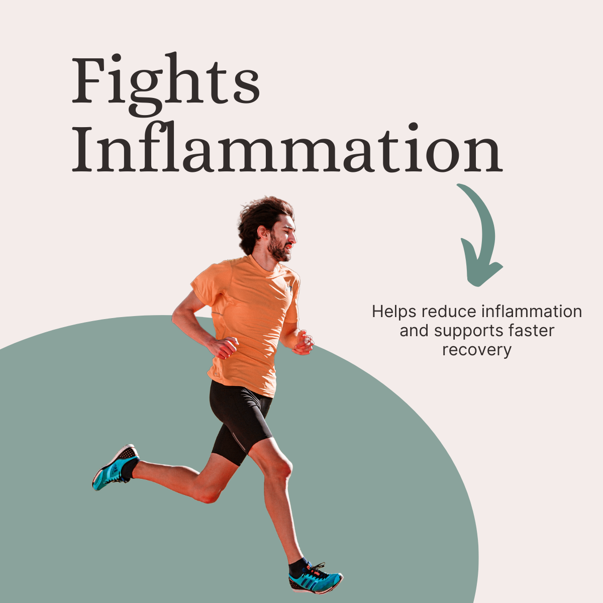 Pure Nutrition Echinacea Capsules - 60 Capsules | Antioxidant, Immune Booster, and Anti-Inflammatory Support