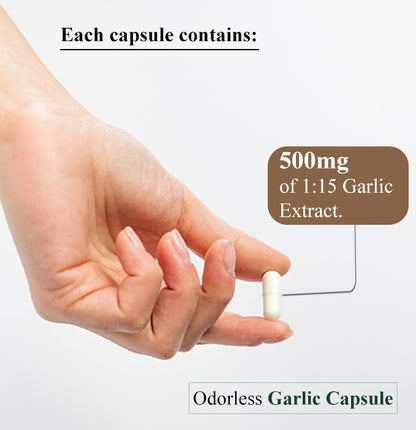 garlic capsule 
