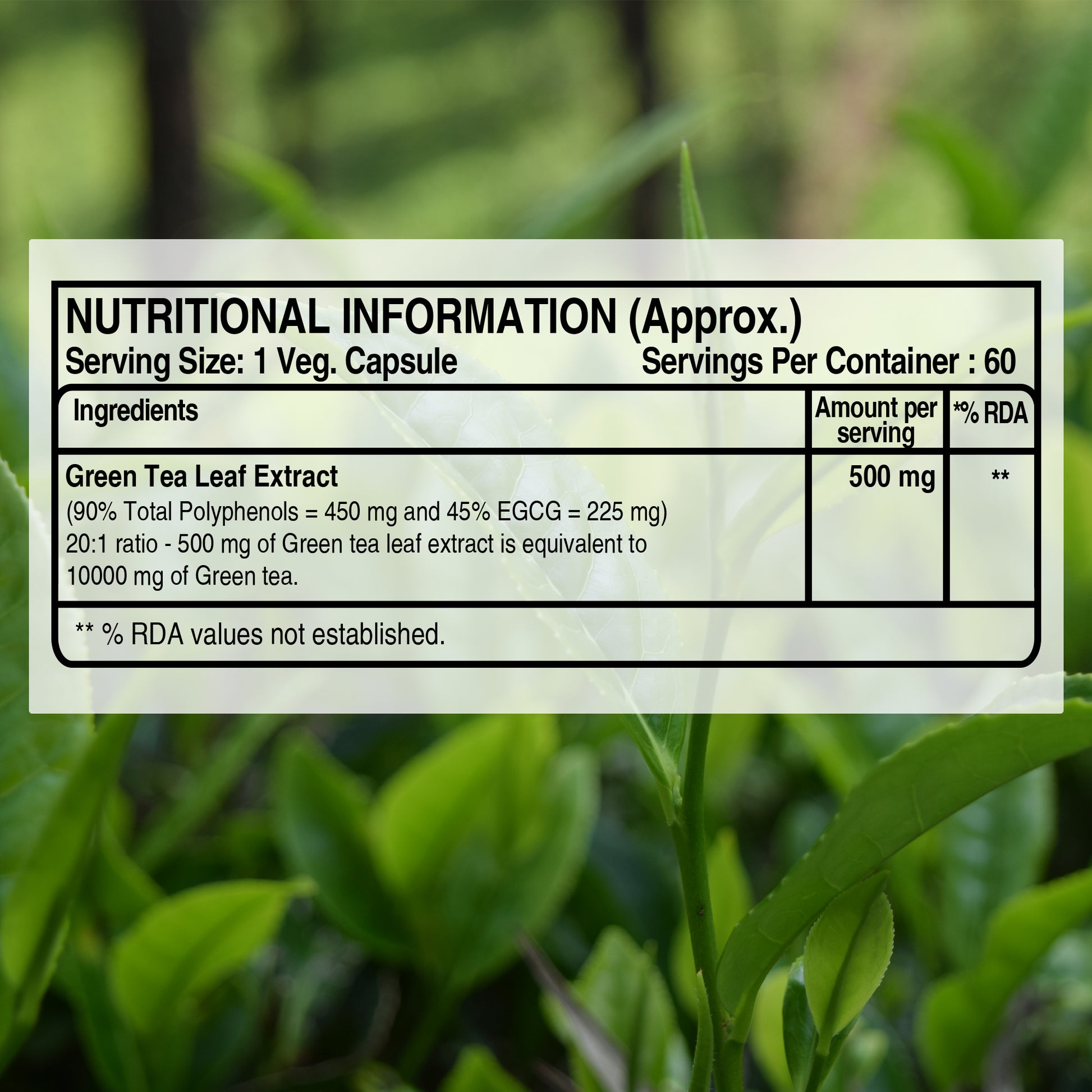 Green tea extract supplement 
