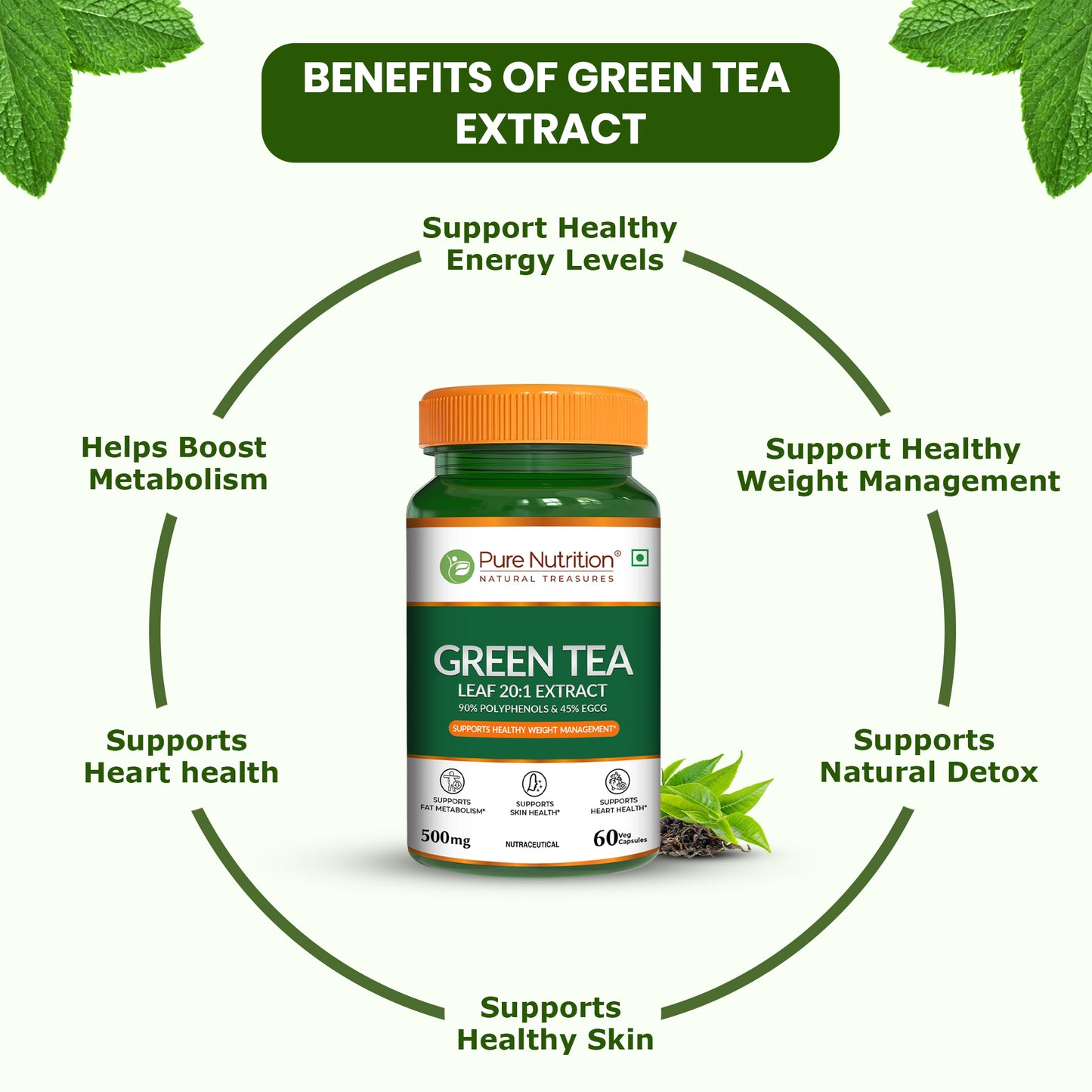 Green tea extract supplement 