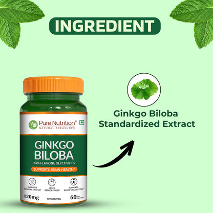 Pure Nutrition Ginkgo Biloba 120mg