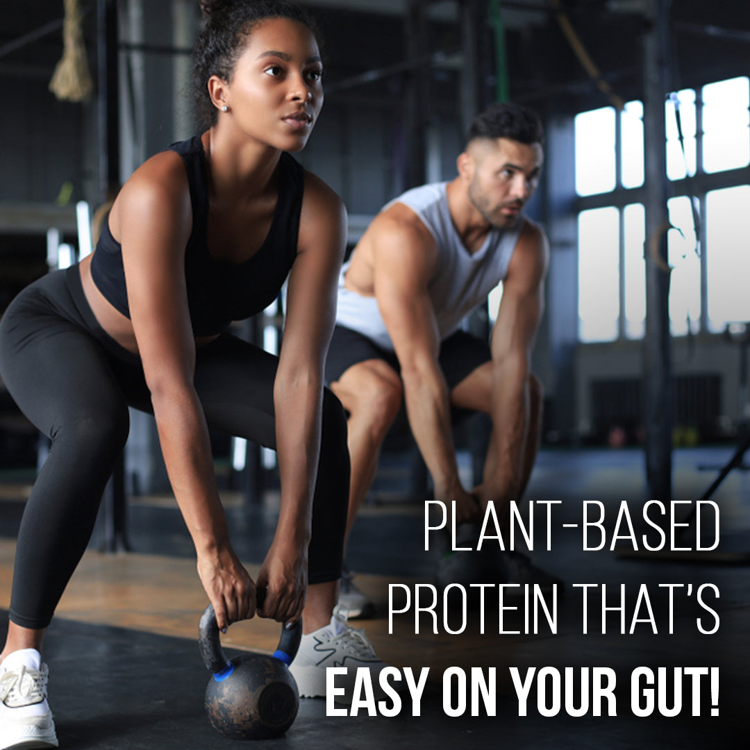 Plant Based Protein Powder – Vegan Chocolate Protein for Muscle Growth