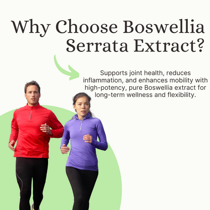 Boswellia Serrata Extract – 450mg