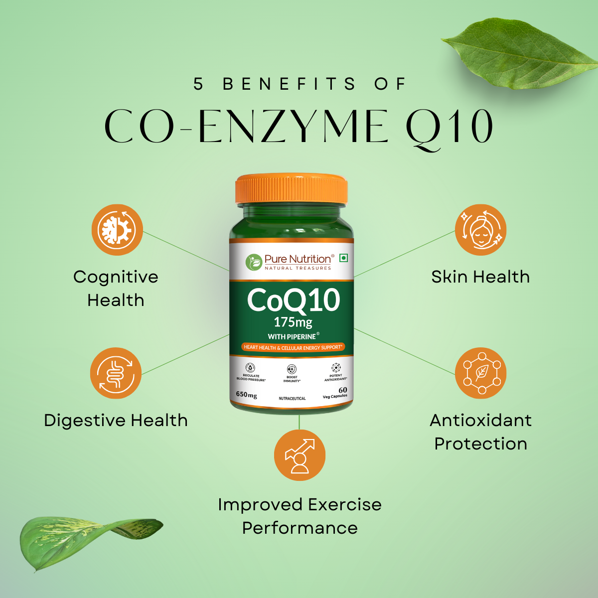 Coenzyme Q10 175 mg – 60 Capsules