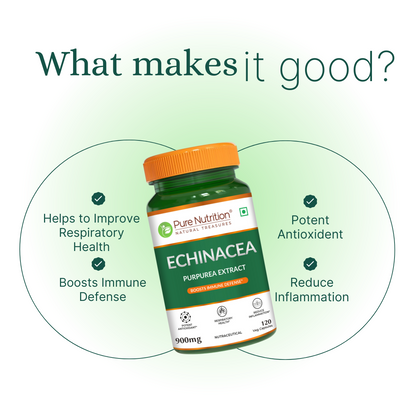 Pure Nutrition Echinacea Capsules -120 Capsules | Antioxidant, Immune Booster, and Anti-Inflammatory Support