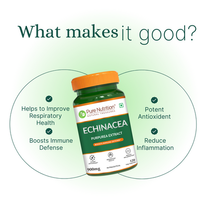 Pure Nutrition Echinacea Capsules - 60 Capsules | Antioxidant, Immune Booster, and Anti-Inflammatory Support