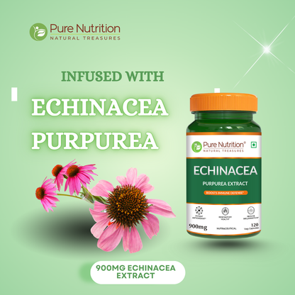 Pure Nutrition Echinacea Capsules -120 Capsules | Antioxidant, Immune Booster, and Anti-Inflammatory Support