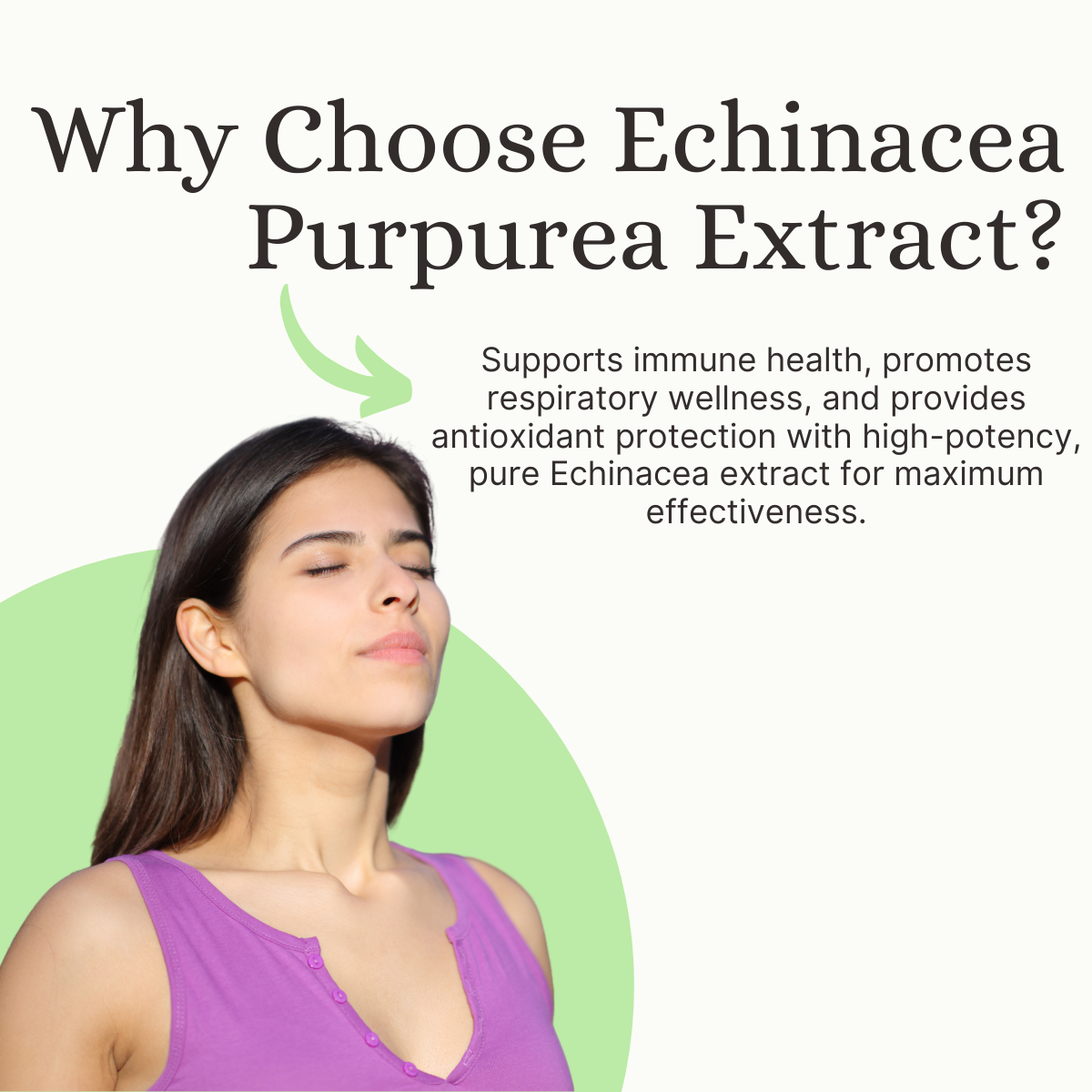 Echinacea Capsules - 60 Capsules