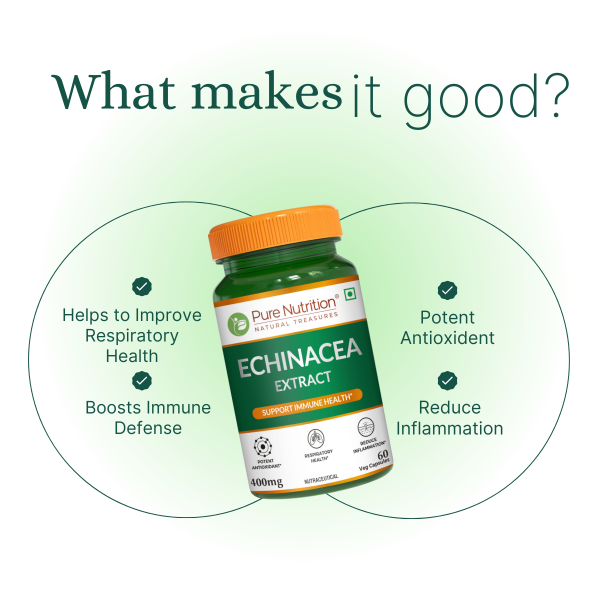 Echinacea Capsules - 60 Capsules