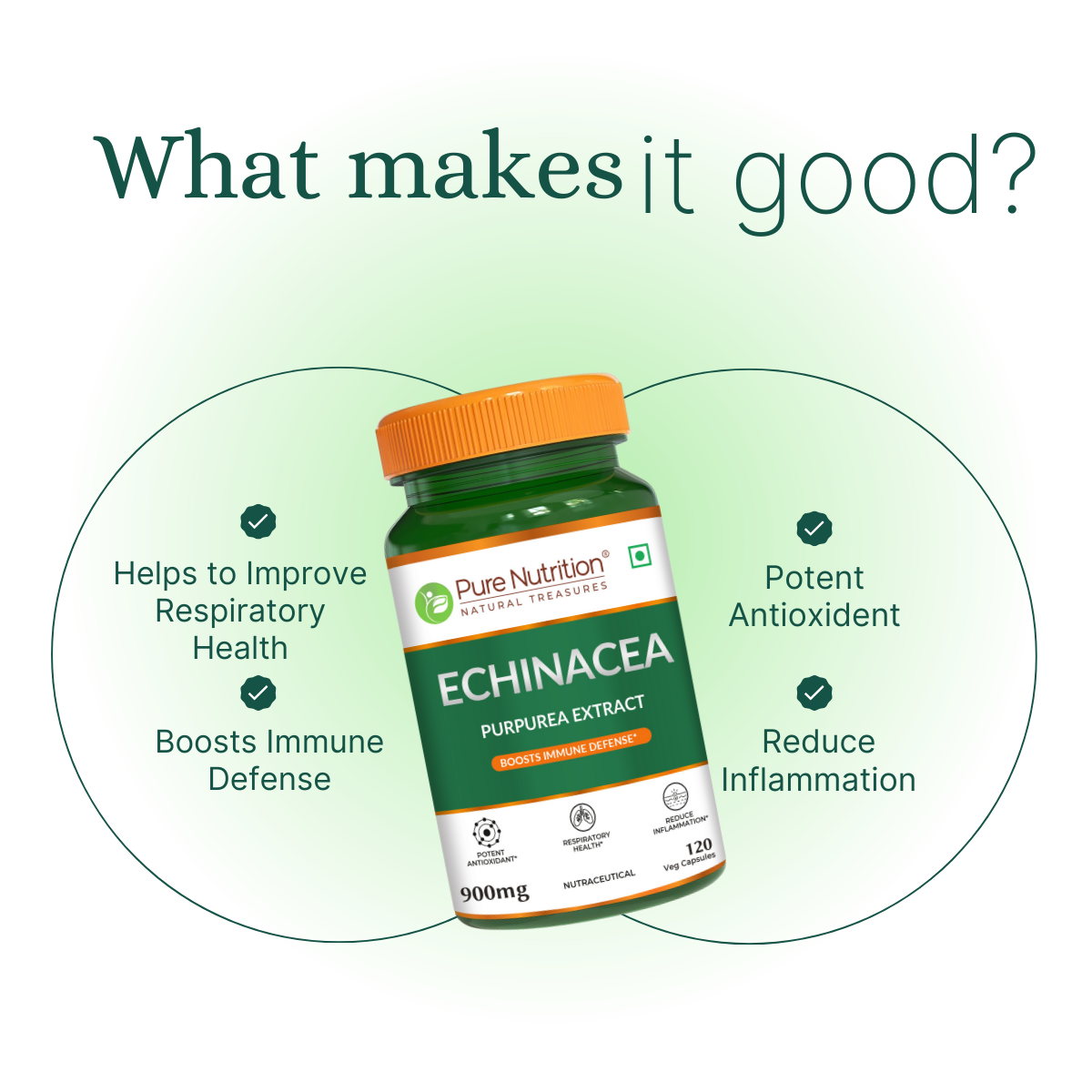 Echinacea Capsules -120 Capsules