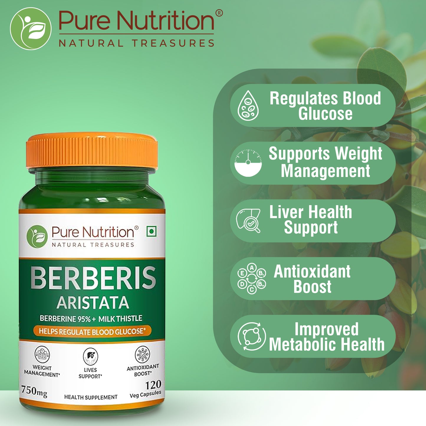 Berberis Aristata 120 Veg Capsules | Berberine 95% + Milk Thistle - Liver Support, Antioxidant Boost, and Weight Management Supplement