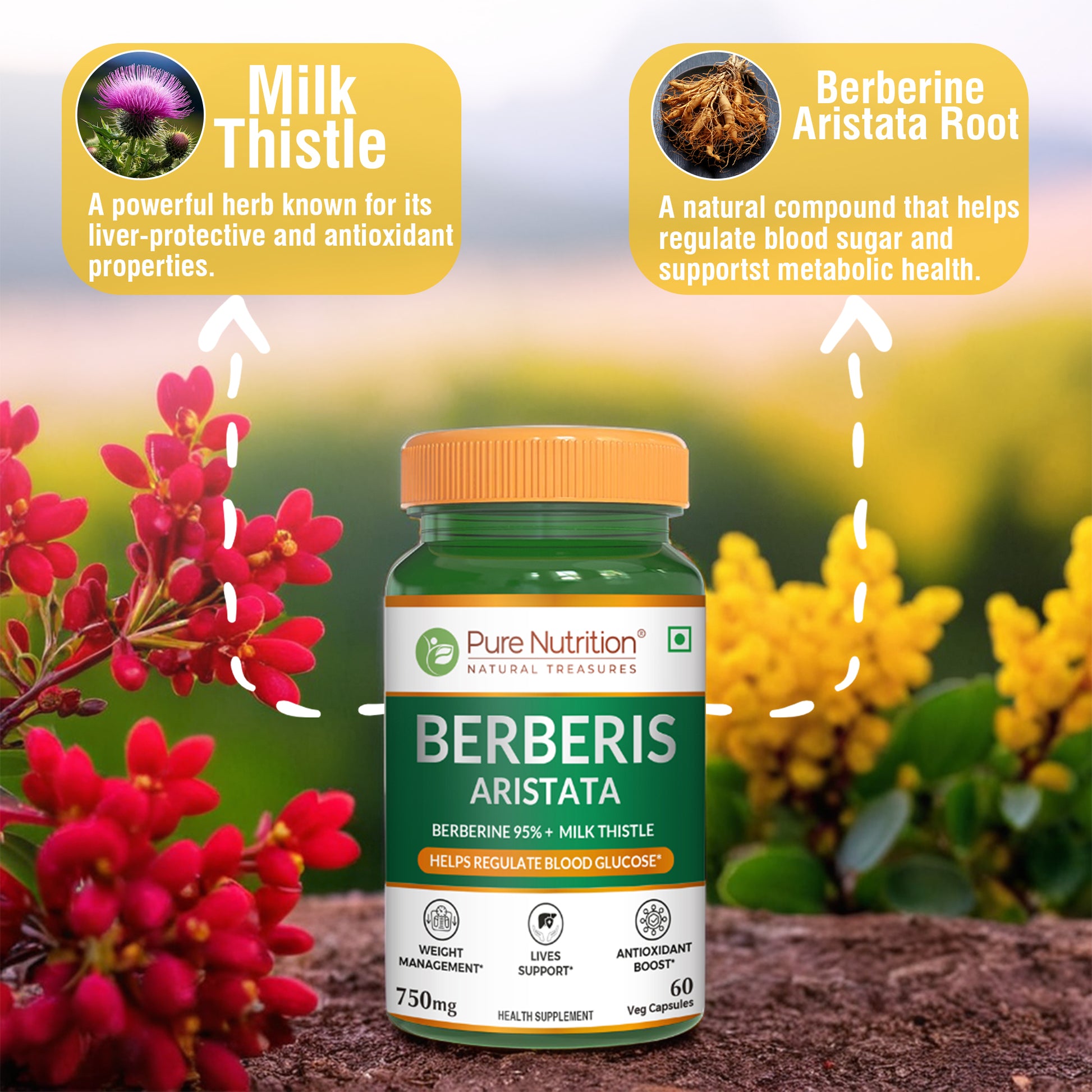 Pure Nutrition Berberis Aristata supplement