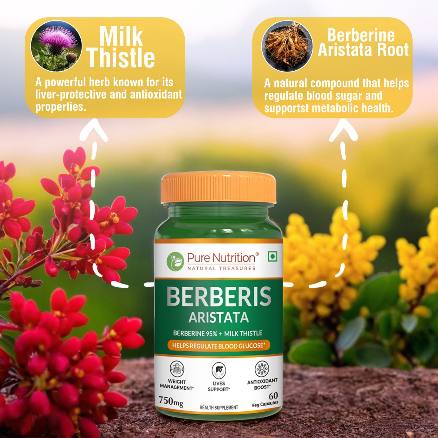 Berberis Aristata (60 Veg Capsules) with Berberine 95% + Milk Thistle - Liver Support, Antioxidant Boost, and Weight Management Supplement