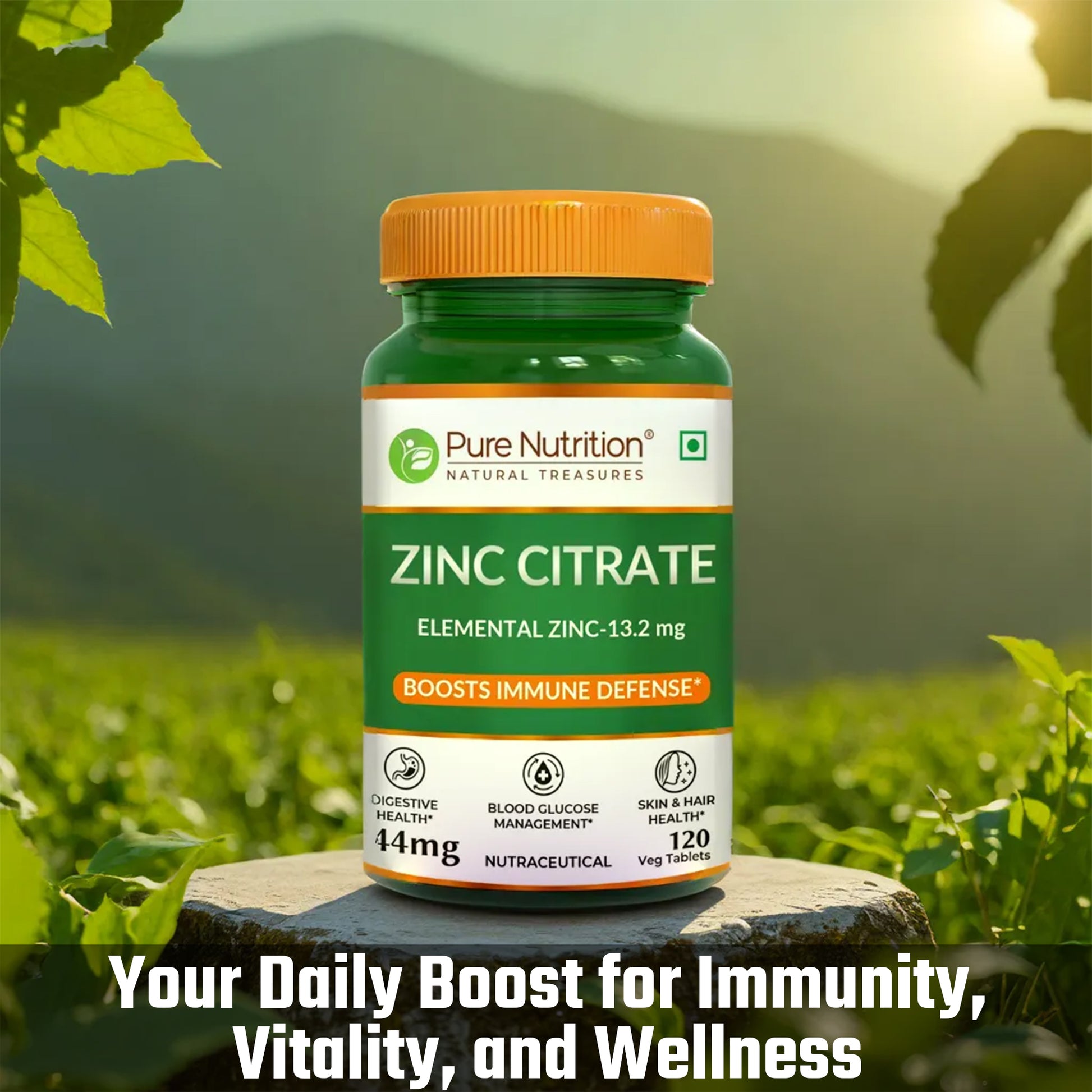 Pure Nutrition Zinc Citrate containing 120 vegetarian tablets