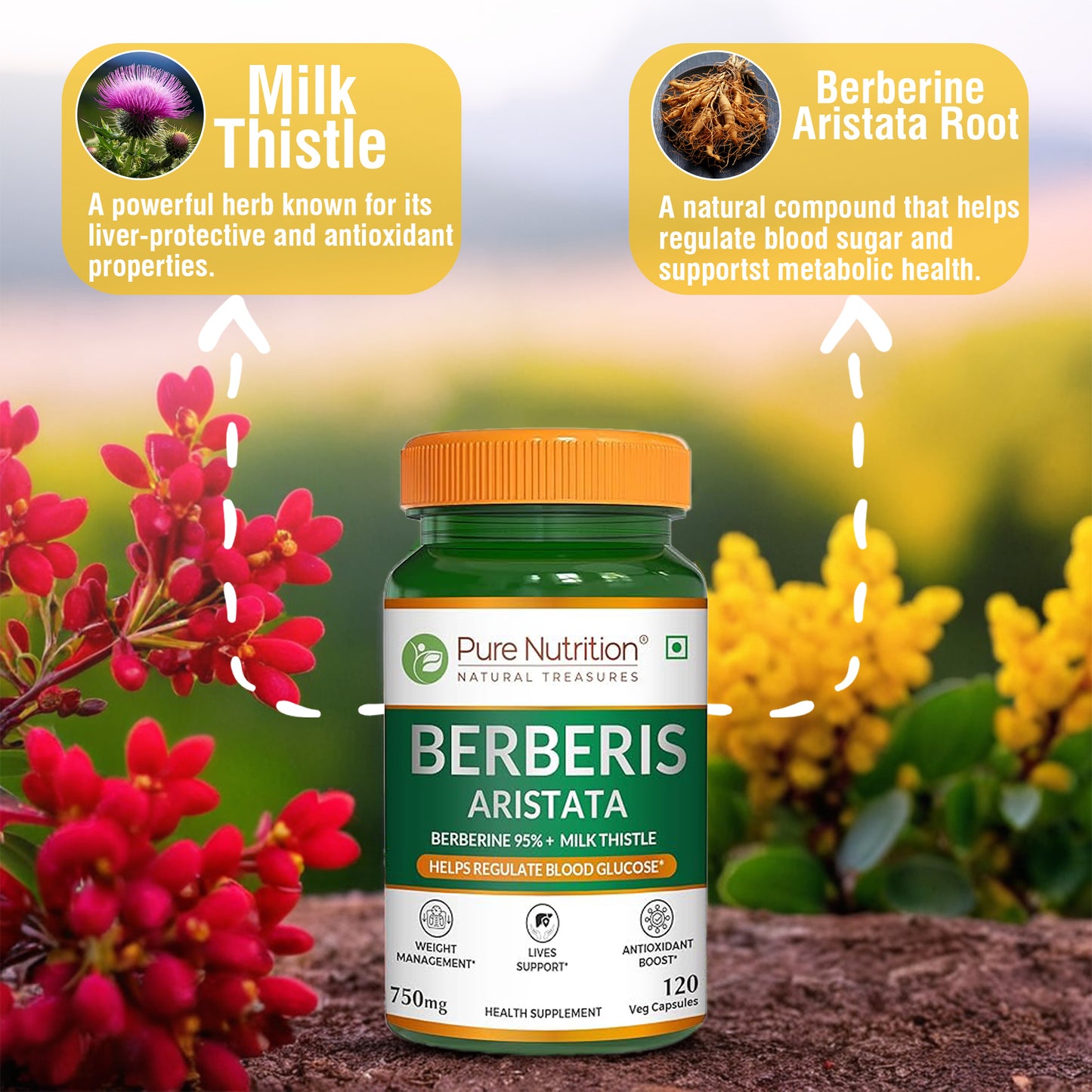 Berberis Aristata 120 Veg Capsules | Berberine 95% + Milk Thistle - Liver Support, Antioxidant Boost, and Weight Management Supplement