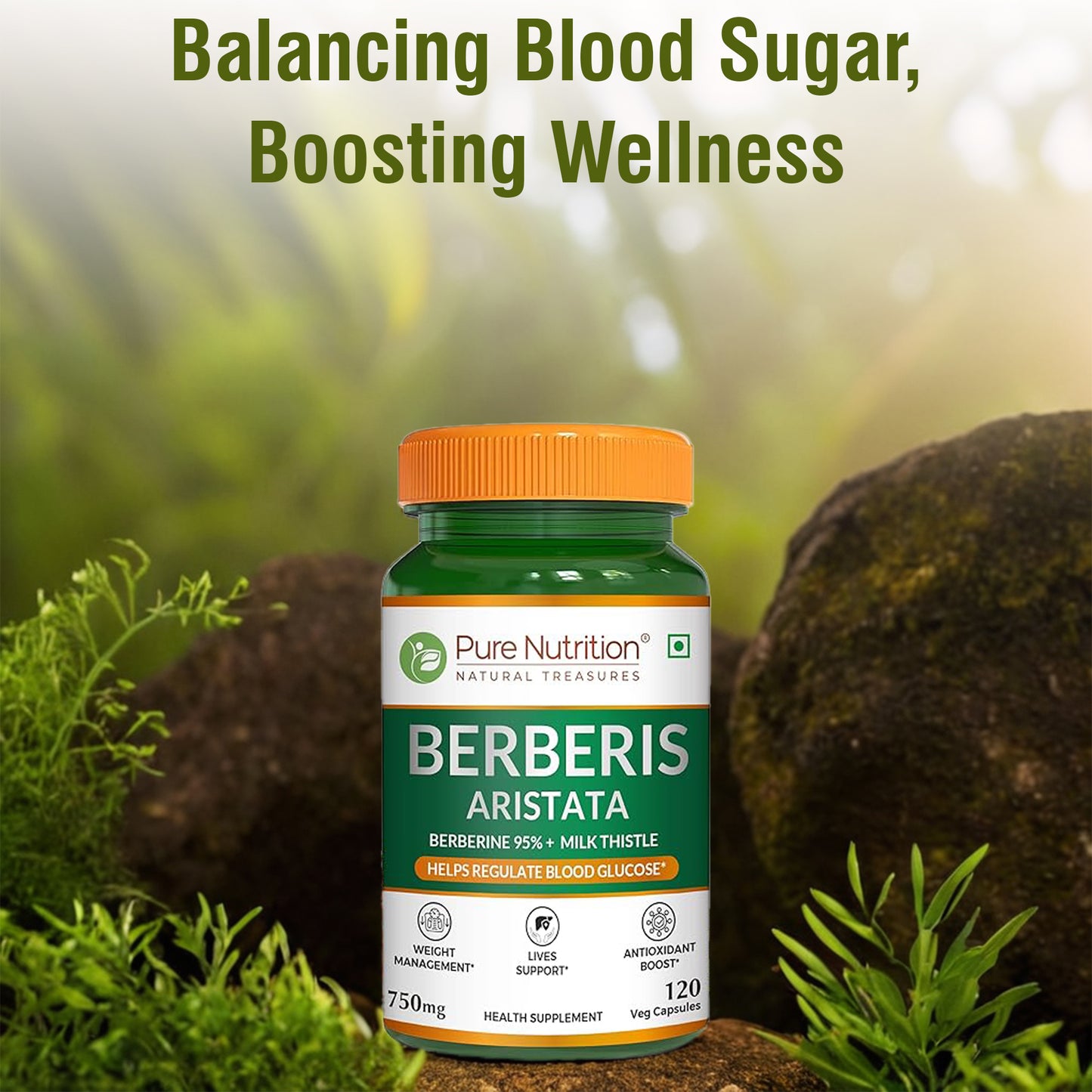 Berberis Aristata 120 Veg Capsules | Berberine 95% + Milk Thistle - Liver Support, Antioxidant Boost, and Weight Management Supplement